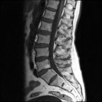 Kręgosłup – kompleksowa diagnostyka obrazowa (16 – 18 września 2026r.)